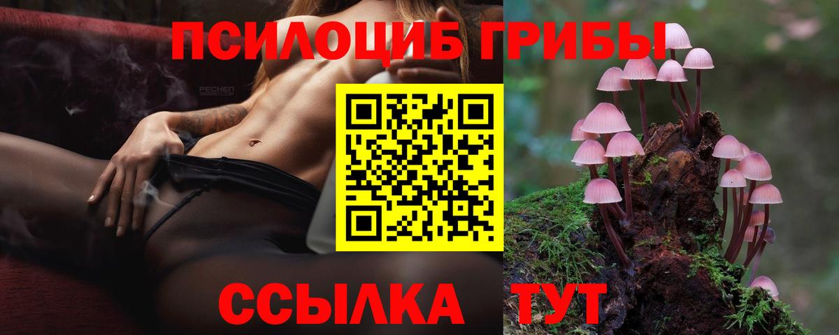Коммунар  как найти   Вход с VPN  Псилоцибиновые грибы ЛСД  Псилоцибиновые грибы Cubensis 